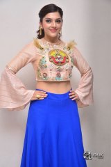 Mehreen Pirzada At Raja The Great Movie Trailer Launch